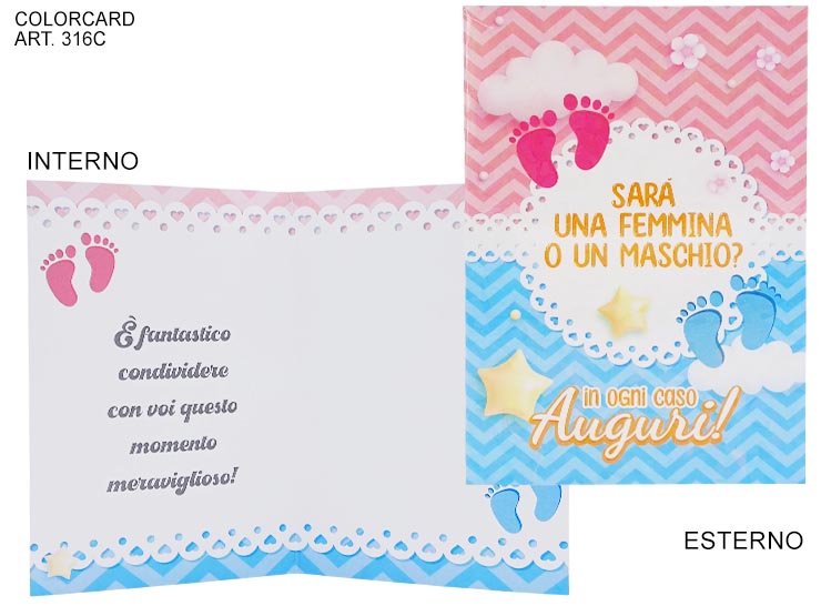 COL2023 - 316C GENDER PARTY BABY SHOWER - Eventi > Nascite > Accessori Confezionamento - Ingrosso B2B Magazzini Scatigna