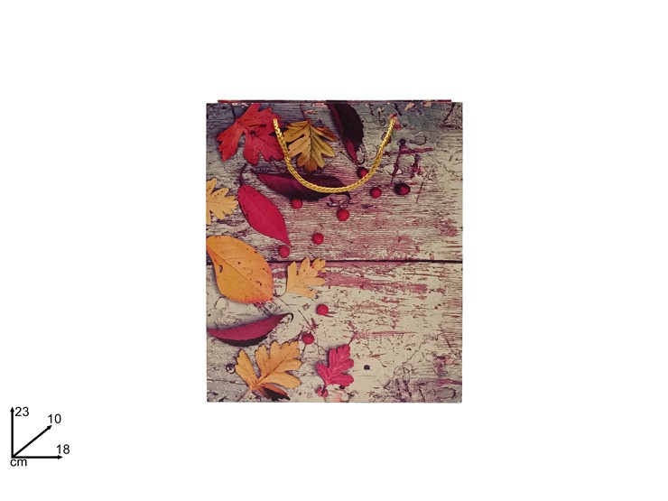 BUSTA REG.C/FOGLIE AUTUNNO 231810 157G - Confezionamento > Buste Regalo > Decorate - Ingrosso B2B Magazzini Scatigna