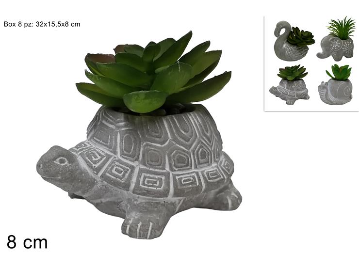 VASETTO ANIMAL.C/PIANTA GRASSA 4AS.LP02/ - Everyday > Fiori Piante > Piantine - Ingrosso B2B Magazzini Scatigna