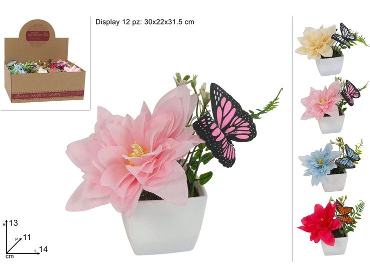 PIANTINA DALIA C/FARFALLA 4C.CASG-230101 - Everyday > Fiori Piante > Piantine - Ingrosso B2B Magazzini Scatigna