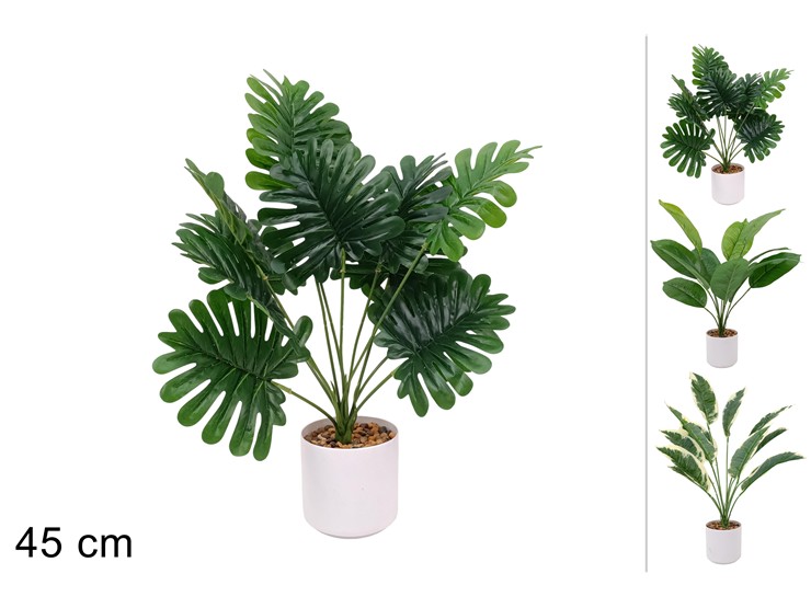 PIANTA 3ASS.HY137-31021/31019/31022 - Everyday > Fiori Piante > Piantine - Ingrosso B2B Magazzini Scatigna