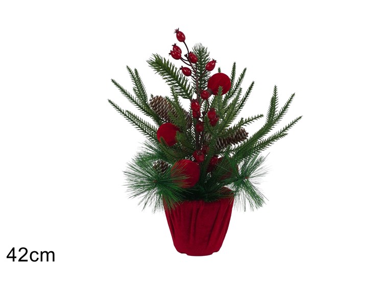 PIANTA PIGNE MELOGRANO PALLE VELL.ROSSO - Natale > Casa Arredo > Piante - Ingrosso B2B Magazzini Scatigna